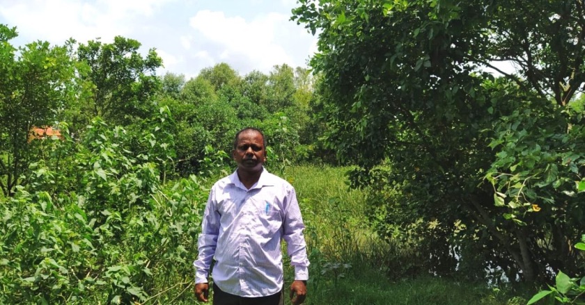 Odisha Man Creates 25 Acres of Mangrove Forest in 12 Years, Saves Village From Cyclones