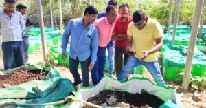 UP Brothers Turn 200 Quintals Of Cattle Waste Into Vermicompost, Earn Rs 20 Lakh/Year