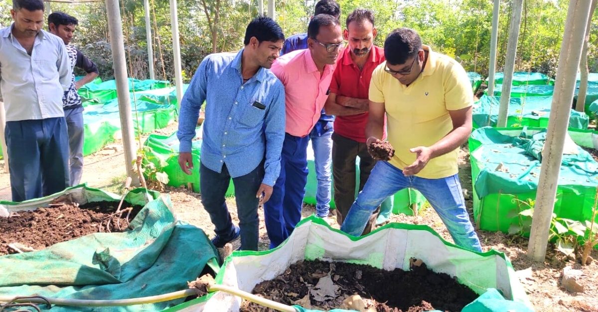 UP Brothers Turn 200 Quintals Of Cattle Waste Into Vermicompost, Earn Rs 20 Lakh/Year