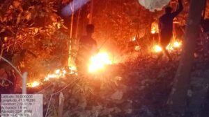 Odisha IFS Officer Helps Save 1,000 Acres of Forestland From Fires