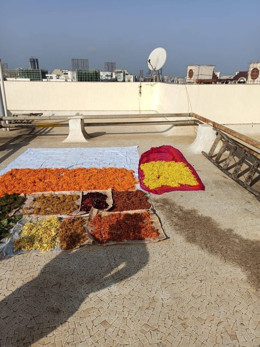 organic Holi colours using dried flowers