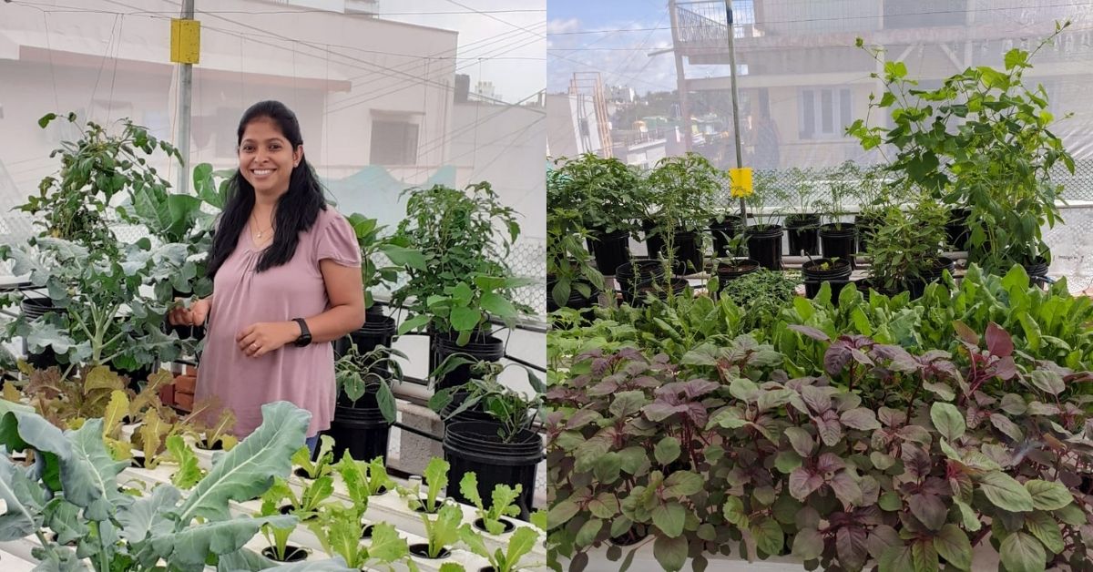 B’luru Woman Grows 230 Types of Fruits, Veggies & Even Prawns on Her Soil-Free Terrace