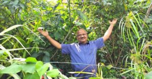 Bengaluru Man Grows Urban Jungle of 1700 Trees on Terrace, Doesn't Need Fans in Summers