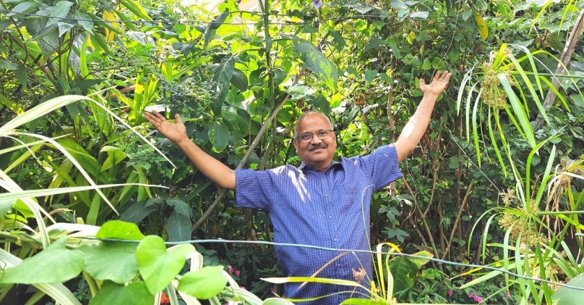 Bengaluru Man Grows Urban Jungle of 1700 Trees on Terrace, Doesn’t Need Fans in Summers