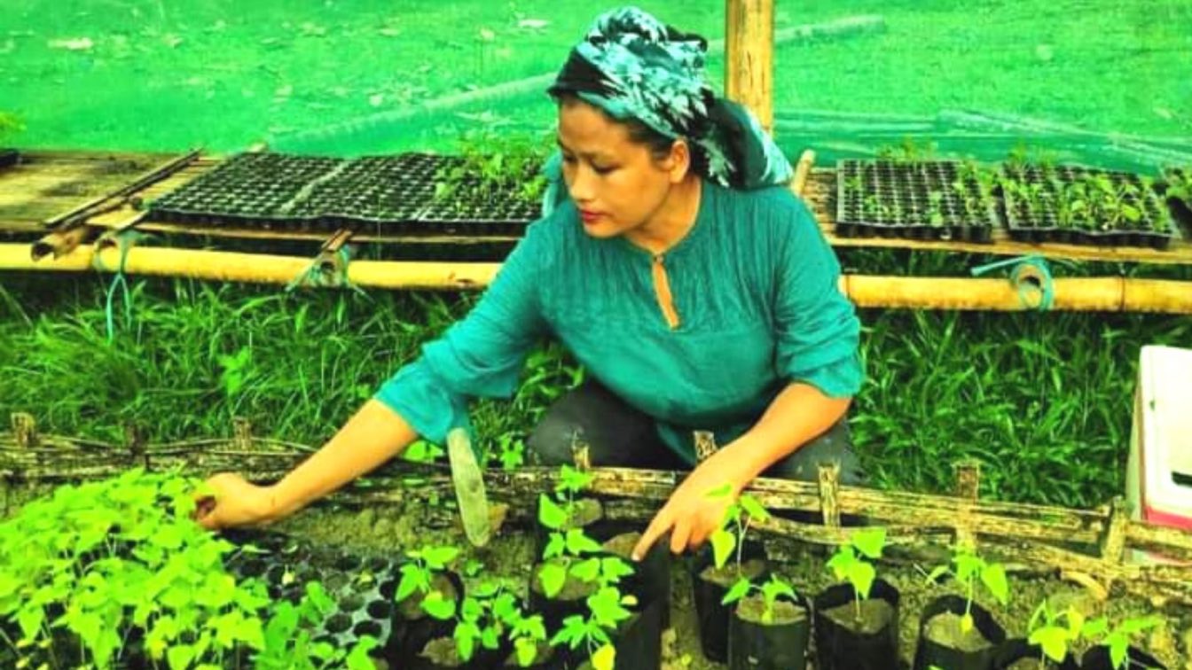 Assam Woman Helps 32 Women Turn Invasive Weed Into Organic Compost, Earn Rs 2.2 Lakh