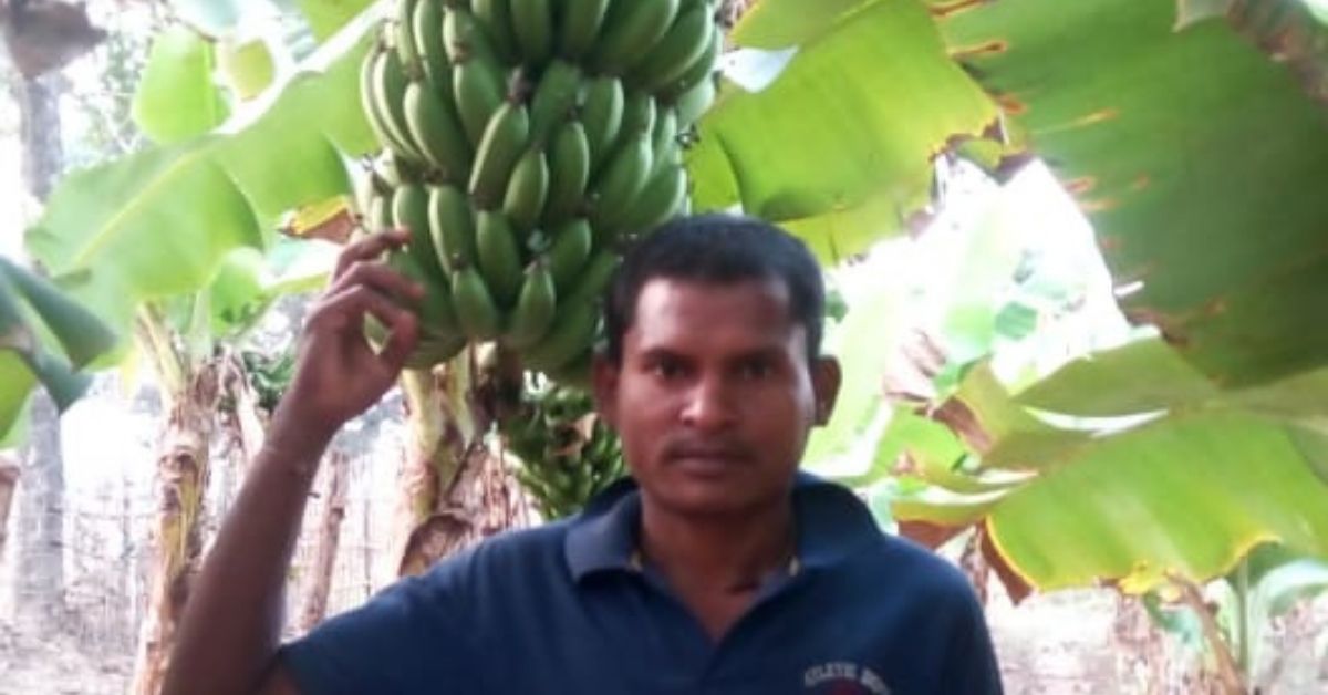 Unable To Get Job, ITI Grad Grows Over 3000 Bananas Trees In Hilly Areas; Earns Lakhs