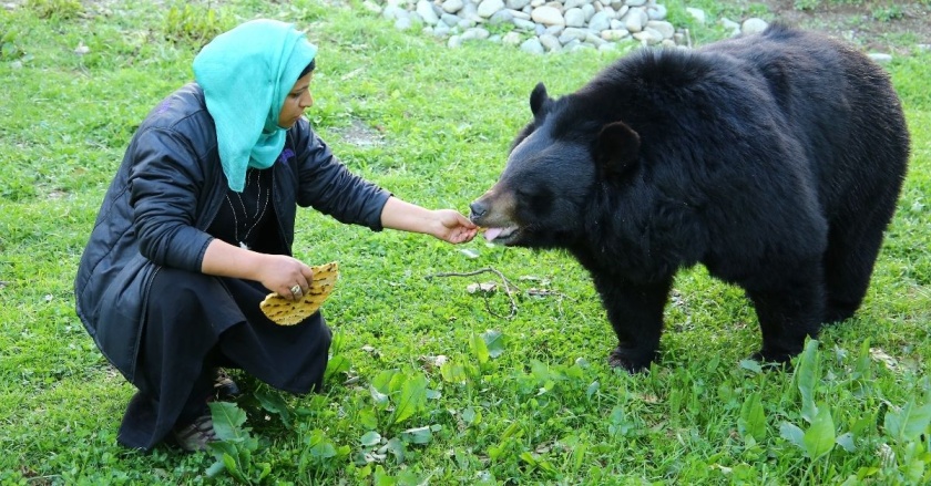 Why People of Kashmir Call This Former Maths Teacher to Rescue Bears, Leopards