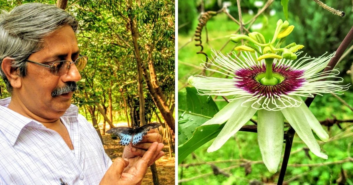 Retd Professor Turns 3-Acre Waste Ground Green & Biodiverse, With 2000 Plant Species