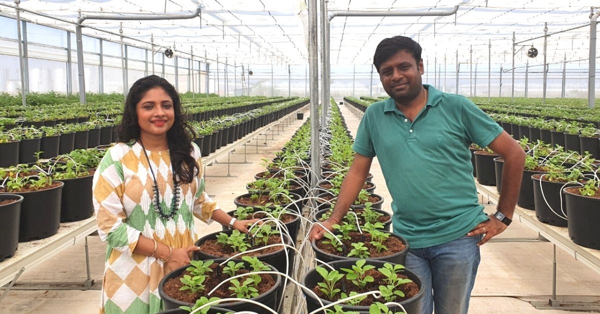 Hyderabad Couple Builds HiTech Farm, Can Produce Upto 8000 Kgs of Veggies Per Day