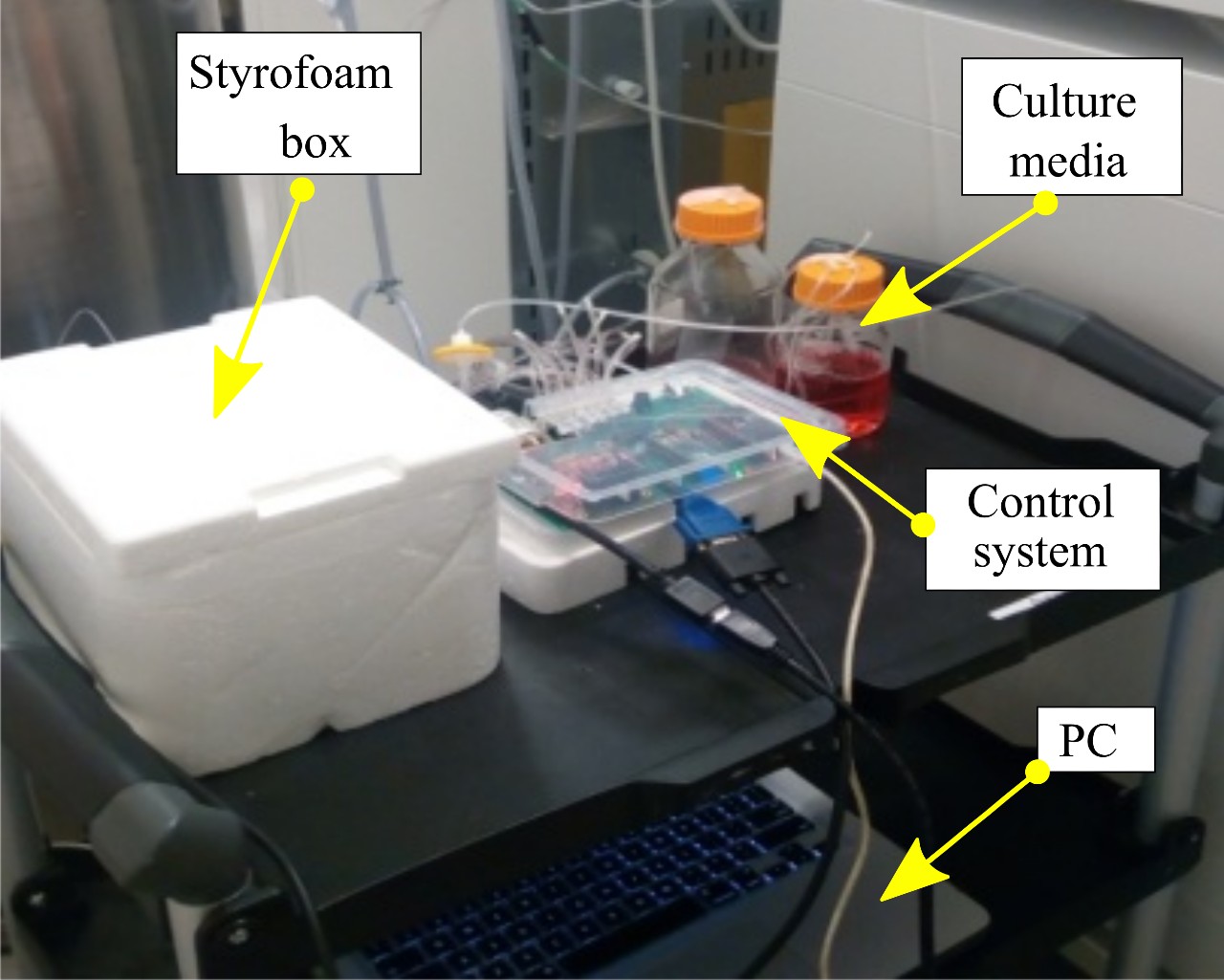 IIT Madras Scientist device to grow tiny brains