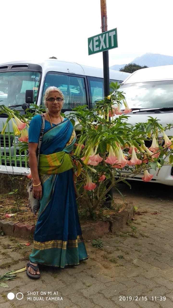 Chennai resident terrace garden