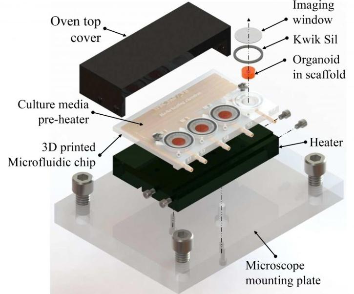 IIT Madras Scientist device to grow tiny brains