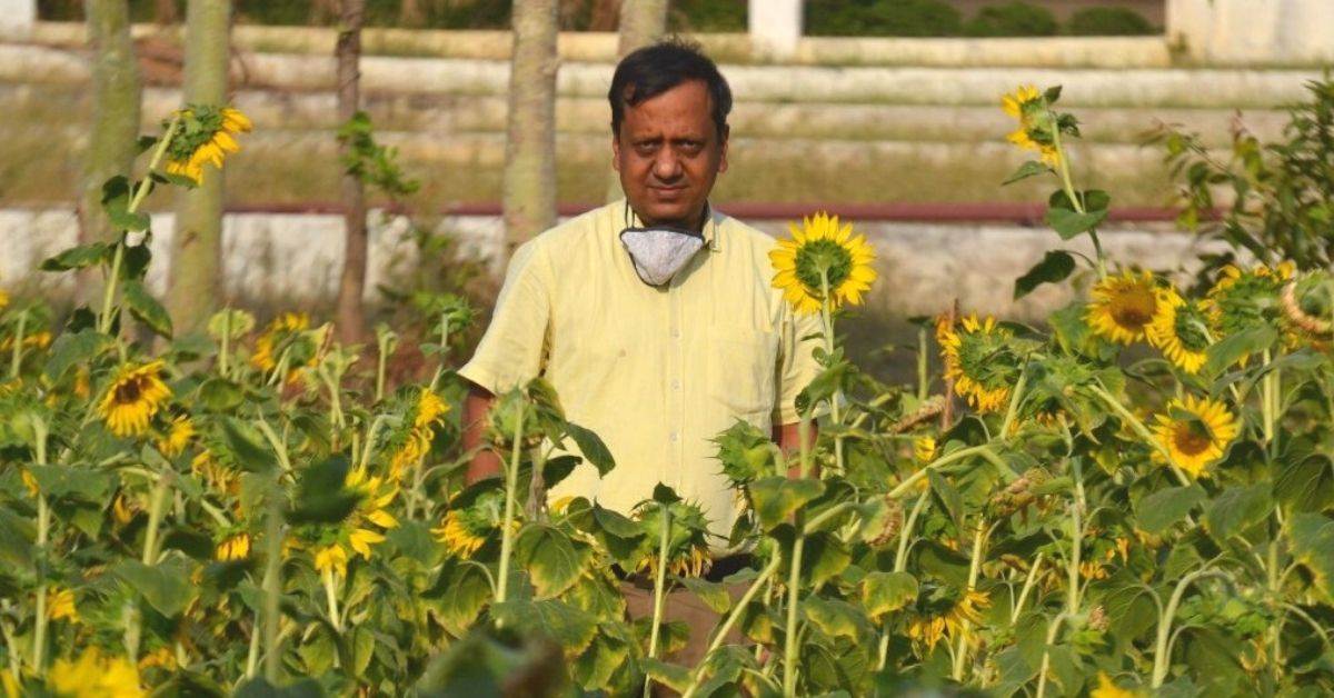 Odisha College Director Grows Half-Acre of Sunflowers, Feeds 500 Parakeets a Day!