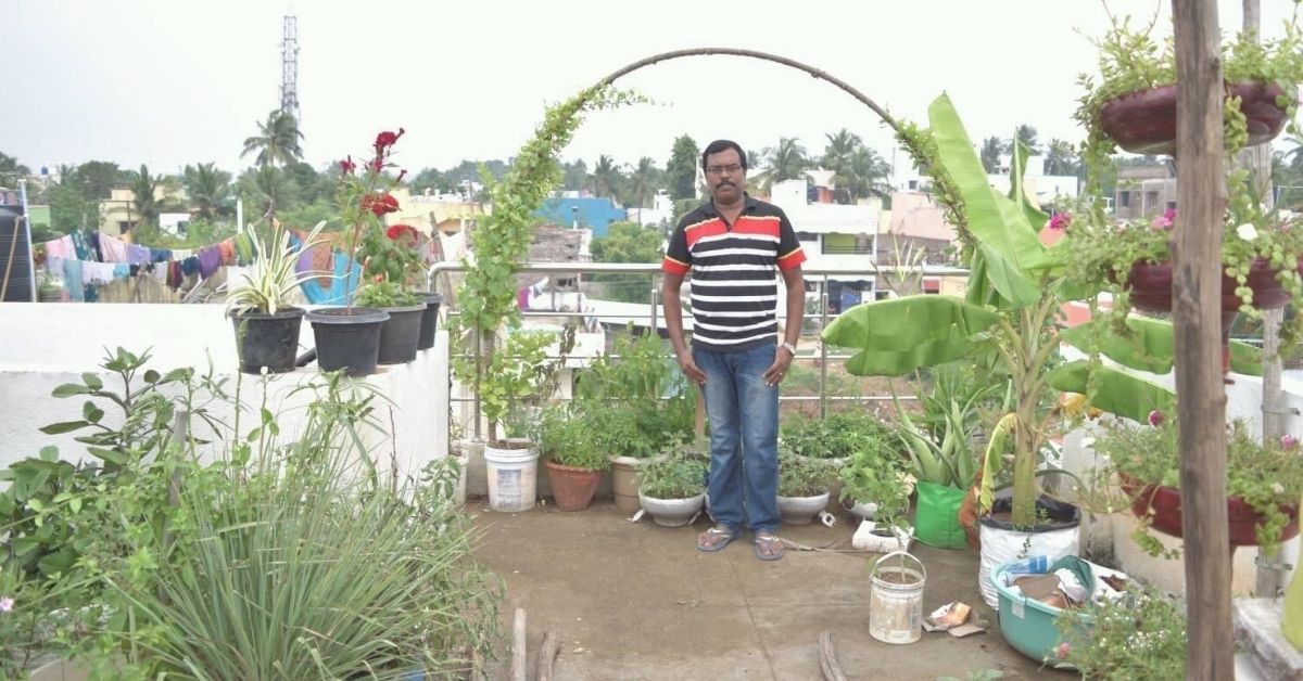 Chennai French teacher grows 400 plants on terrace