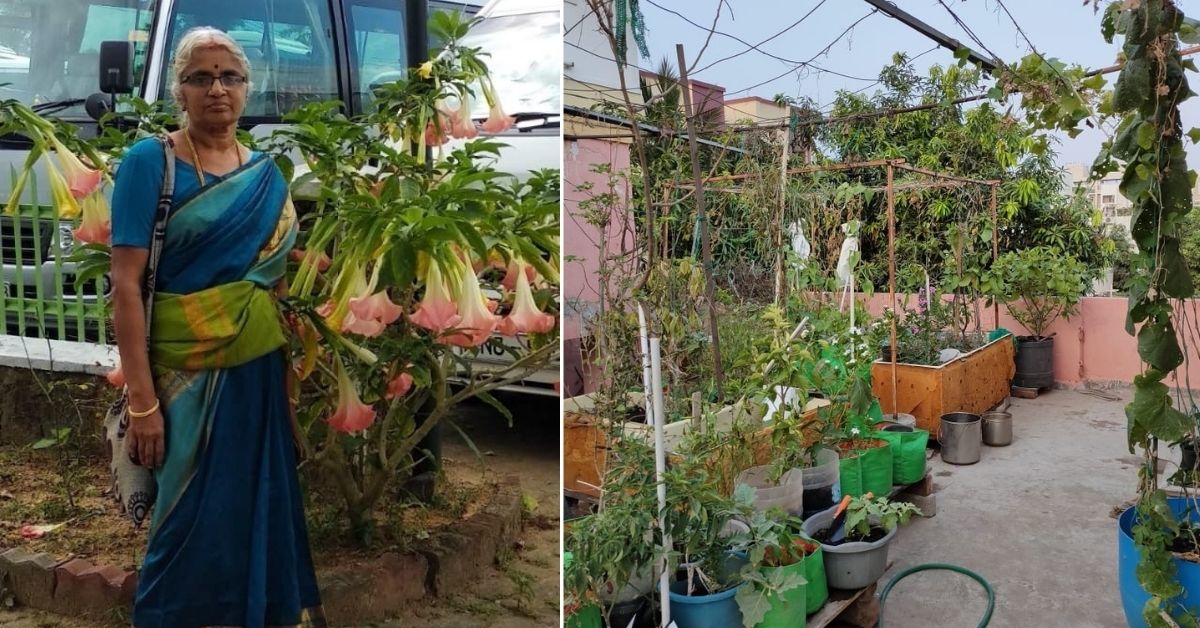 Started Due to Vit-D Deficiency, 65-YO Grows 250 Plants in Refrigerators & Bathtubs