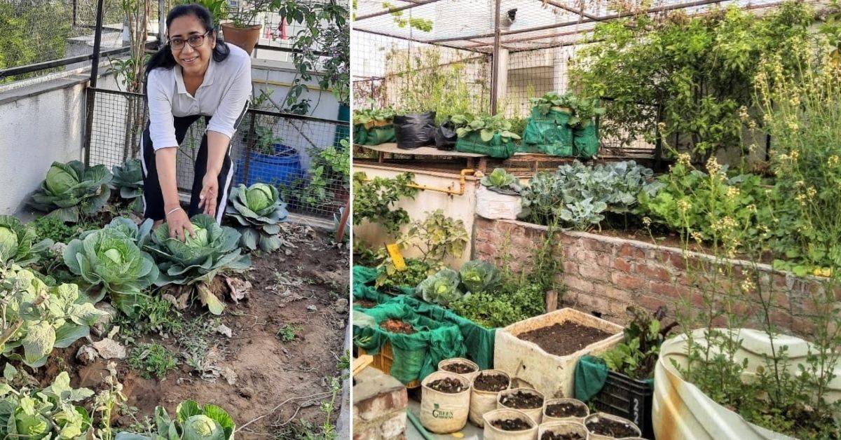 Delhi Woman Shares How She Grows 40+ Varieties of Fruits & Veggies In Recycled Containers
