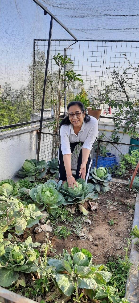 Growing fruits and veggies in recycled containers