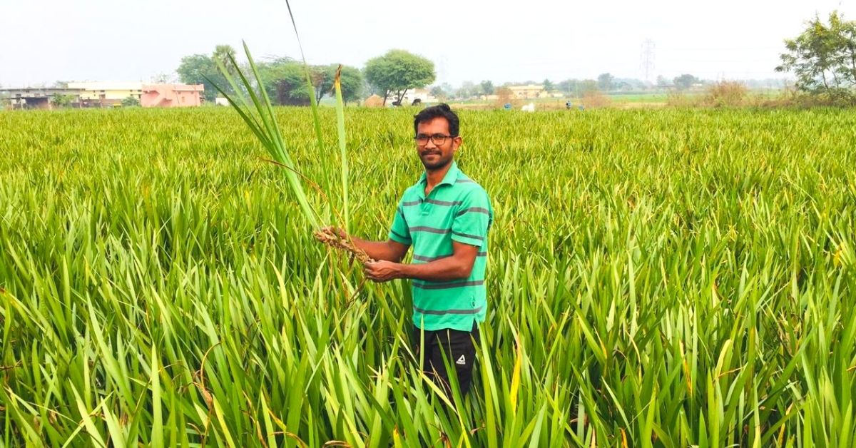 Telangana Engineer 1st In State To Win ICAR Award, Grows 26 Types of Organic Paddy
