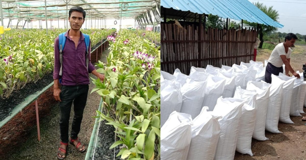 MP Farmer Makes & Sells Organic Fertiliser at Rs 6/kg, 33 Times Cheaper than Others