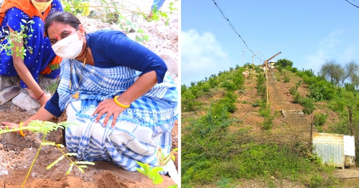 Sarpanch Leads Kutch Village to Plant 7000 Trees & Build Lush Forest Using Wastewater