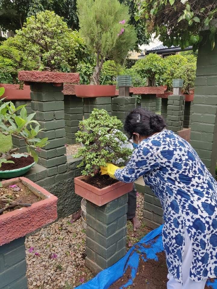 Modern Synthetic Vertical Garden Green Wall, Mat Size: ( 20 X 20 Inch ) (  40 X 40 ) at Rs 600/piece in Vasai Virar