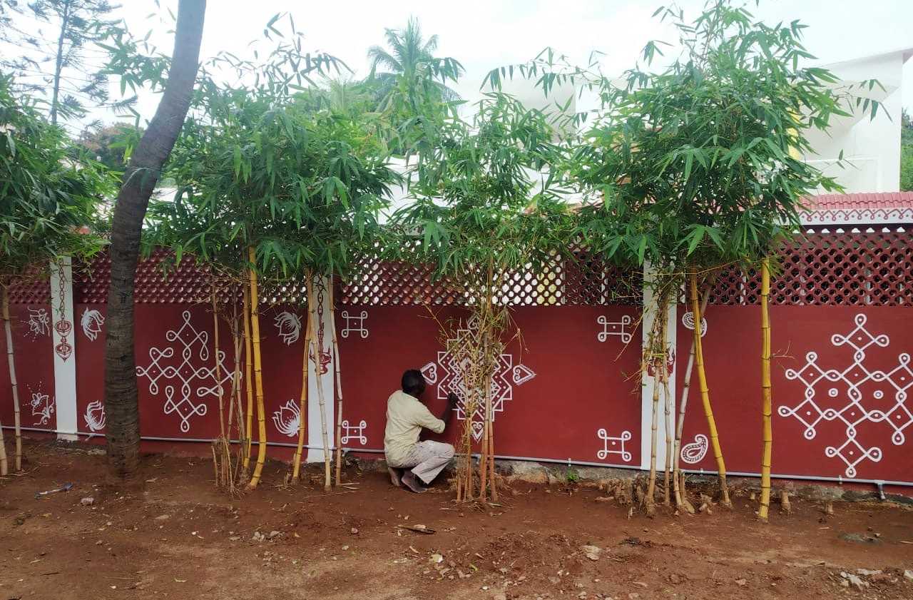 artist drawing kolams