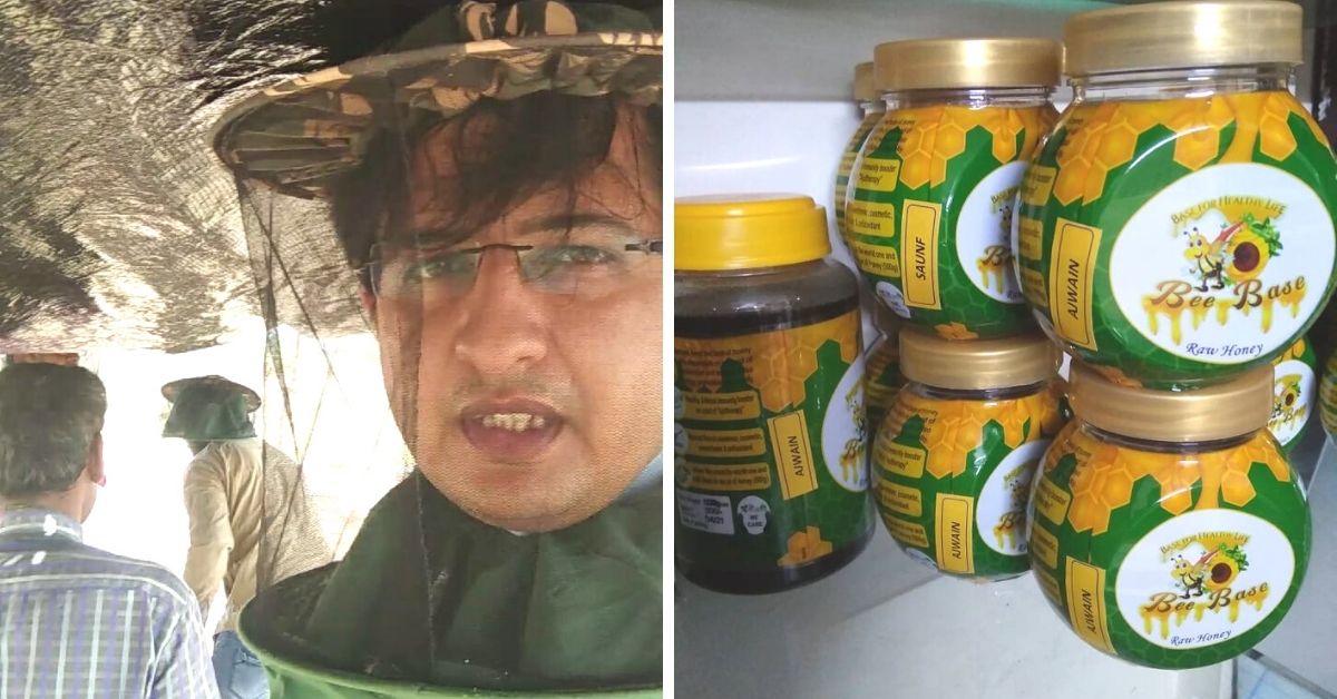 Gujarat CA Quits Job to Make Ajwain & Saunf-Flavoured Honey, Earns Rs 6 Lakh