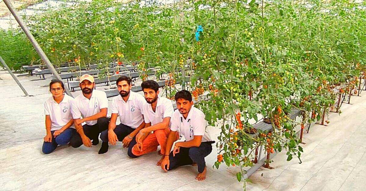 IIT Alumni Startup’s Half-Acre Hydroponics, Soilless Farm Grows 7,000 KG Produce