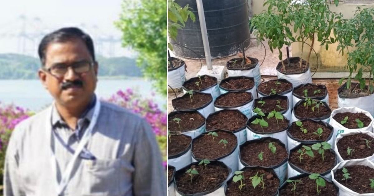 Kerala Agri-Officer Shares How He Grew 30 Types Of Veggies In Grow Bags Without Soil