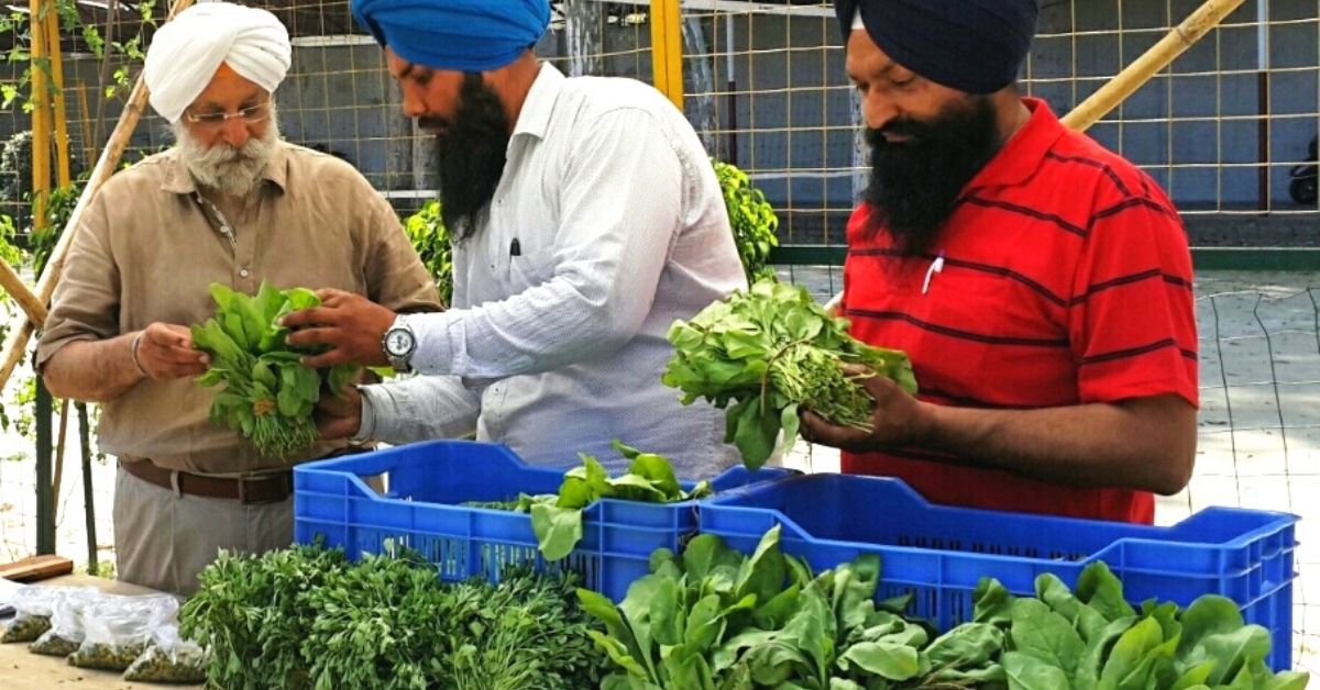 He Lost 5 Loved Ones To Cancer. 17 Yrs On, He’s Helped 20000 Punjab Farmers Go Organic