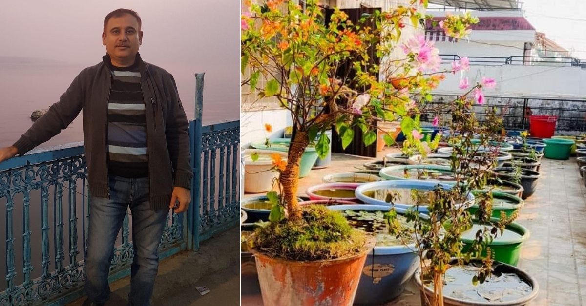 Engineer Grows 200 Types Of Lilies, Adeniums & More, Keeps Home Cool In Summers