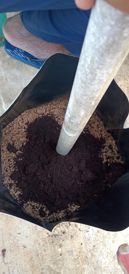 farming in grow bags without soil