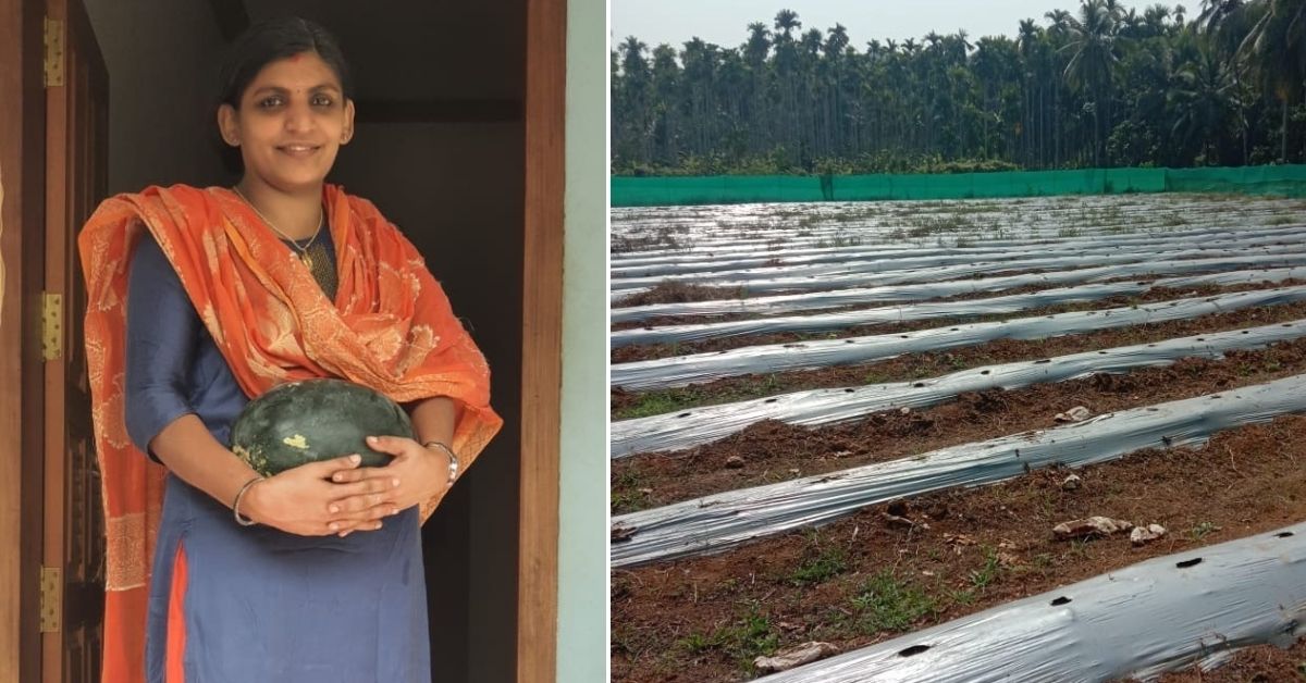 How I Grew 5 Tons Of Organic Watermelon & Earned Rs 2 Lakh, Working as a Teacher!