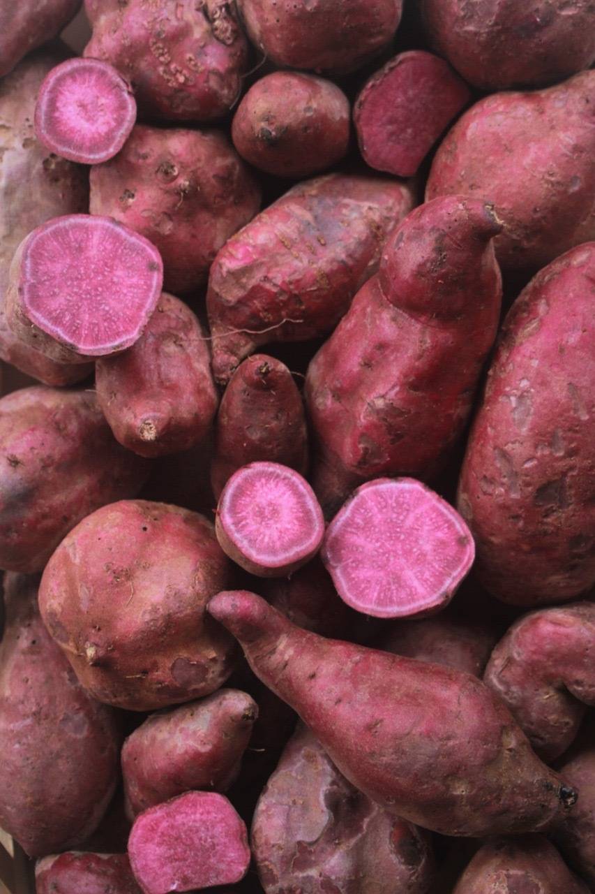 purple and orange variety of sweet potatoes