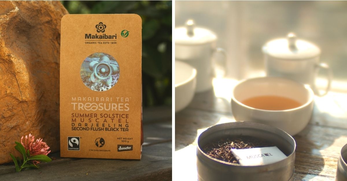 Buy Darjeeling Silver Green Tea (25 Tea Bags) - Makaibari – MAKAIBARI TEA