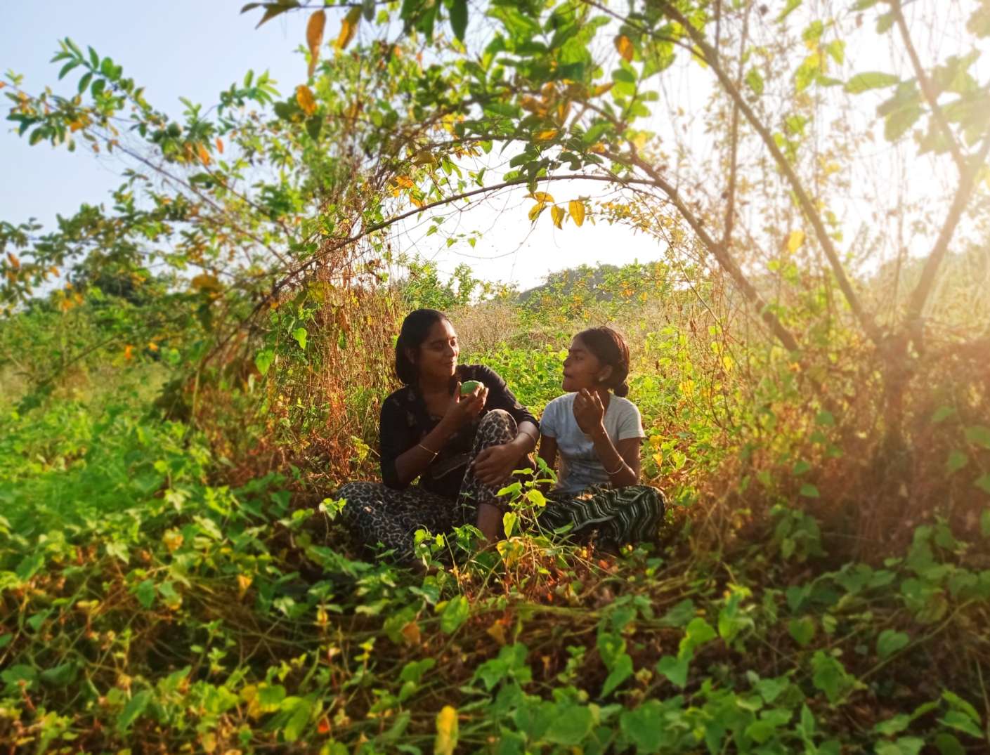 natural farming