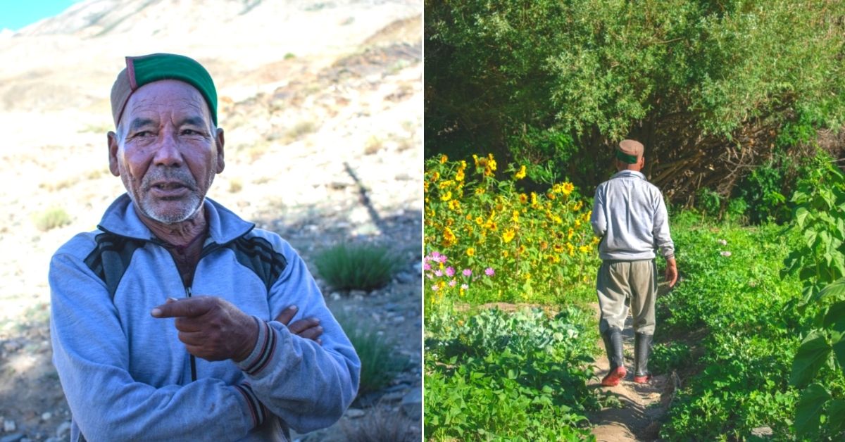 Himachal Man Spent 2 Decades Turning Cold Desert Patch Into Forest With 30000 Trees