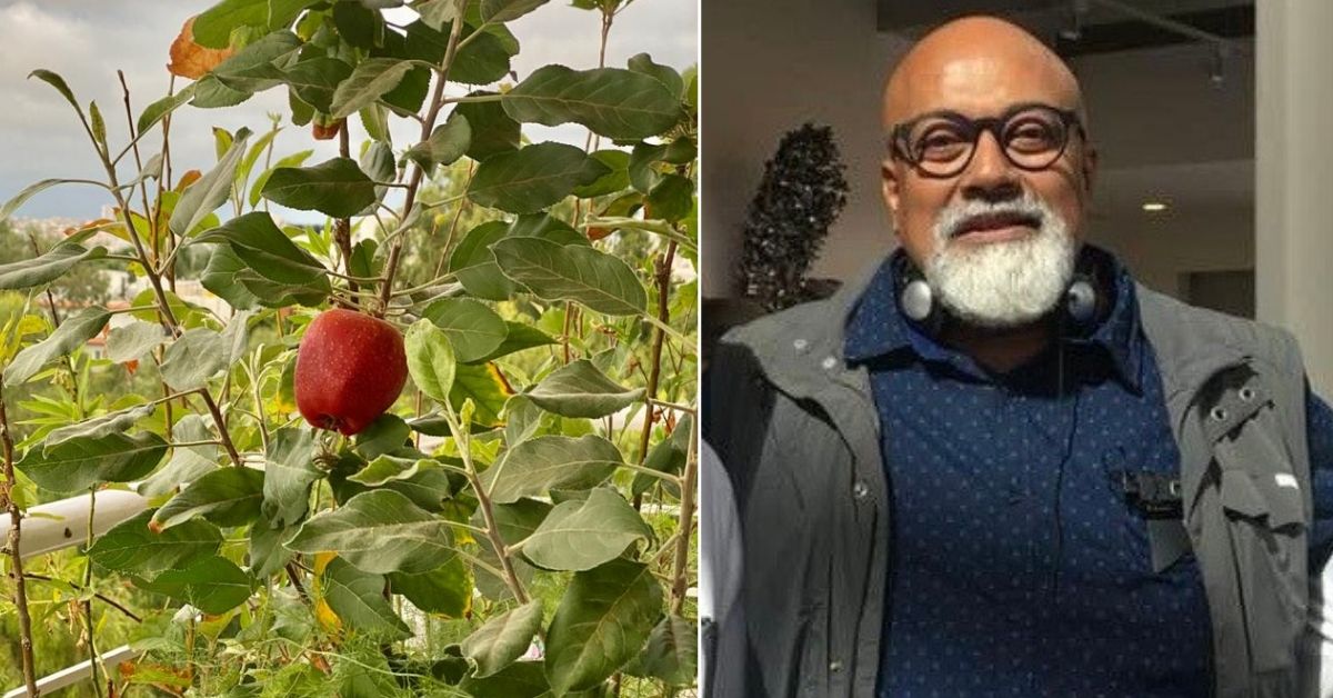 Not All Apple Trees Need Mountains: This Bengaluru Man Grows Them In His Balcony