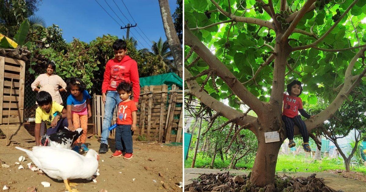 Engineer creates mini food forest in Bengaluru