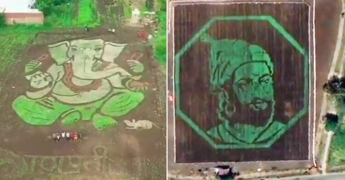 Watch: Farmers Turn Fields Into Canvas, Wow the Internet With Viral Paddy Art