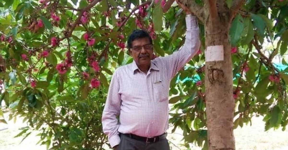 Engineer creates mini food forest in Bengaluru