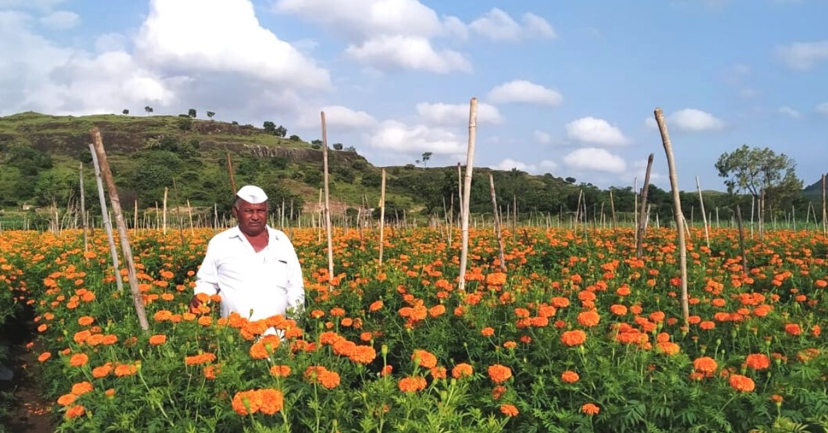 Simple Switch Helps Farmer Go From Living Hand-To-Mouth to Earning 35 Lakh/Year