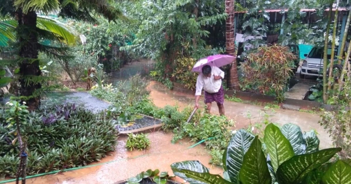 Engineer creates mini food forest in Bengaluru