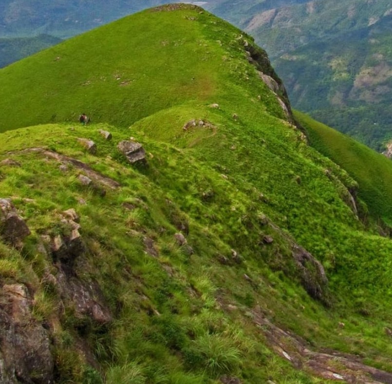 Native grasslands in the Palni hills are pushed back so much, that they occur only near the edges of the massif.