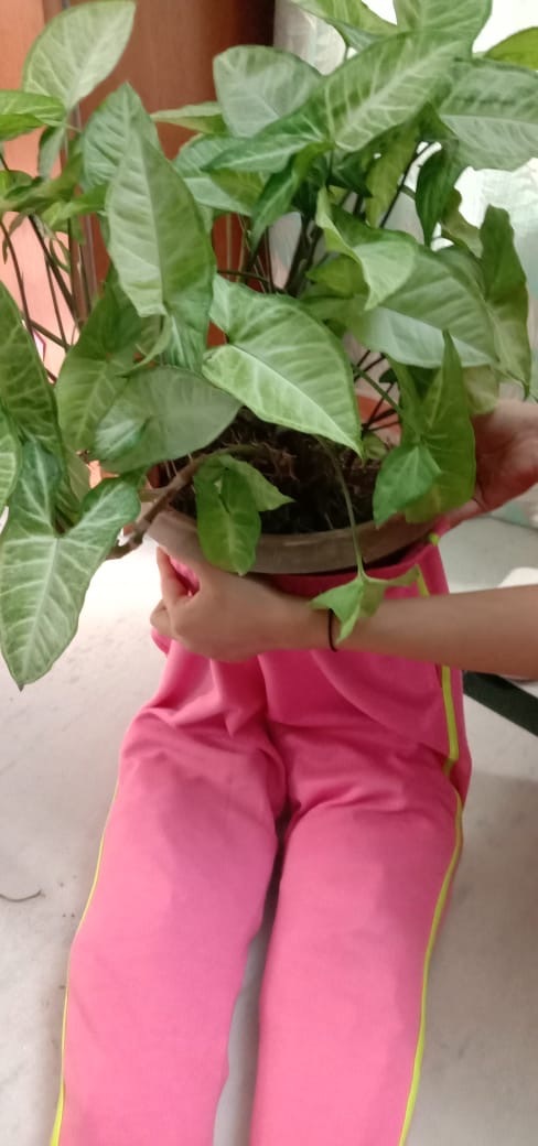 recycle jeans to make planters