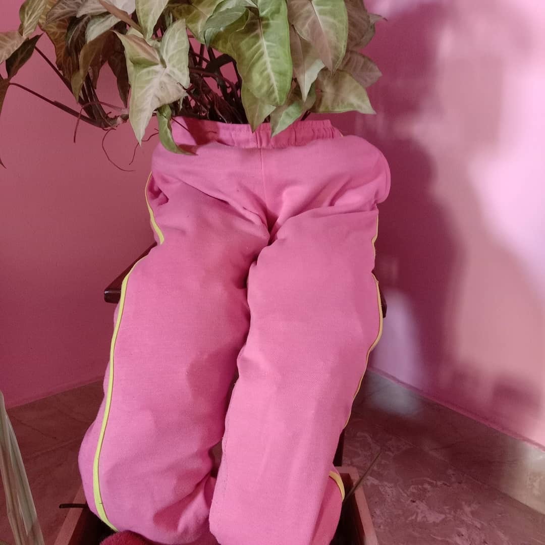 The planter made by Deepika from recycled cotton pants.
 