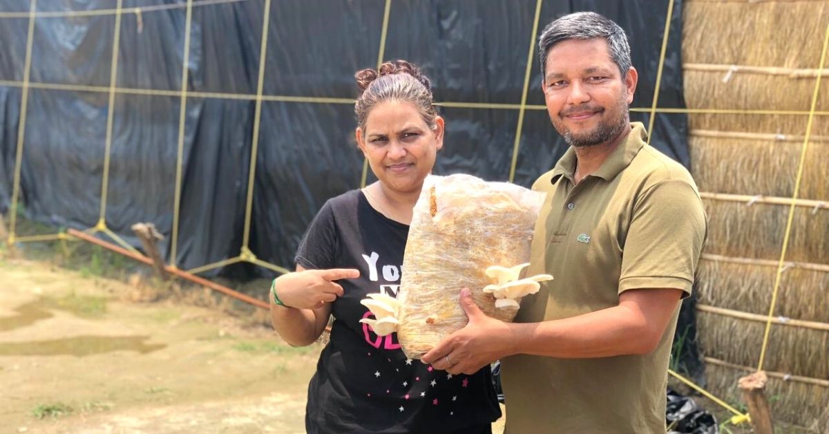 After Losing Job To COVID, Couple Grows Mushrooms In Huts, Earns Rs 2.5 Lakh/Month