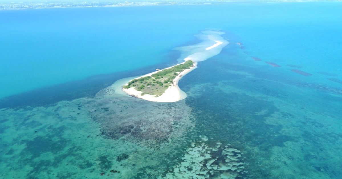 How Scientists & IITians are Preventing an Island from Drowning off the TN Coast
