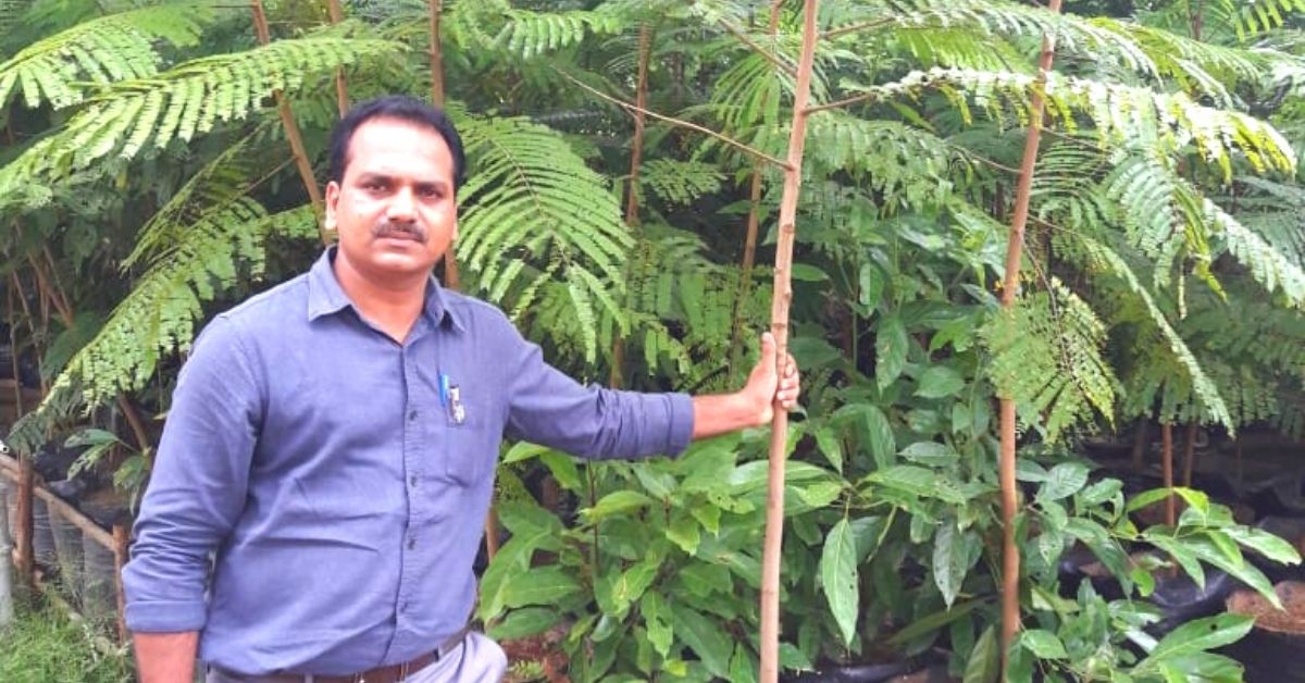 IFS Officer’s Brilliant Idea Ensures Roadside Plantations Have a 100% Success Rate