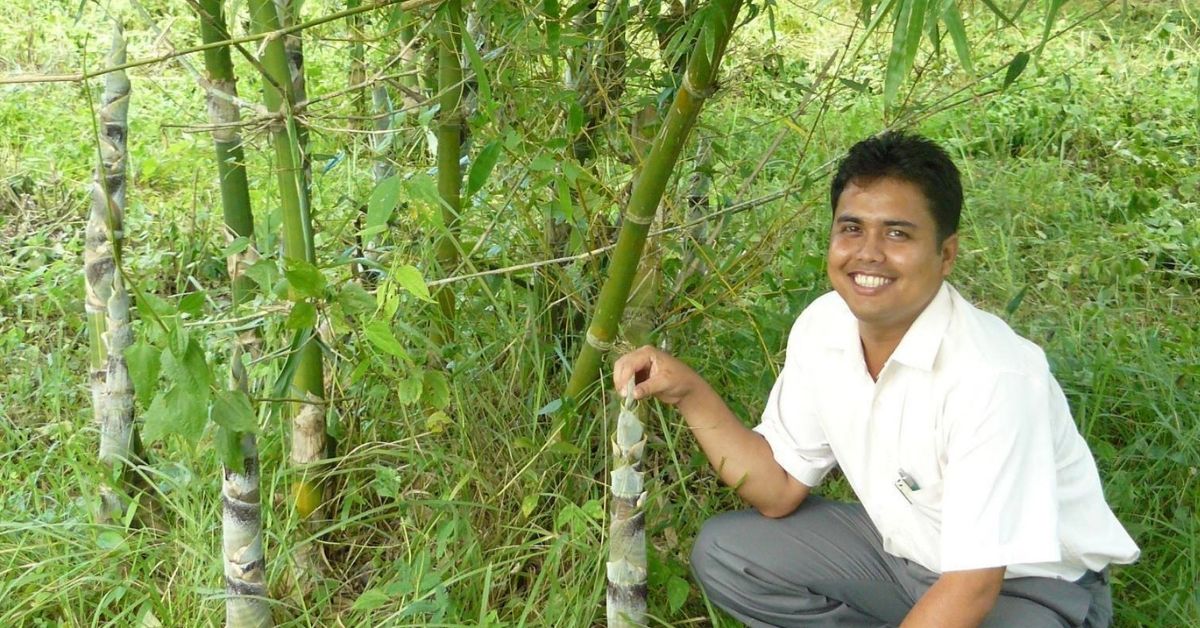 The Bamboo Man